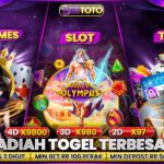 Hadiah Togel Terbesar dan Pasaran Terlengkap 💸 – Daftar dan Menang Sekarang!